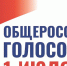 «Поправки в Основной закон важны для развития нашей страны», — Нина Долгова - Газета Лукояновская правда