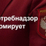 Управление Роспотребнадзора - Лукояновский район