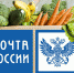 ПОЧТА РОССИИ - Лукояновский район
